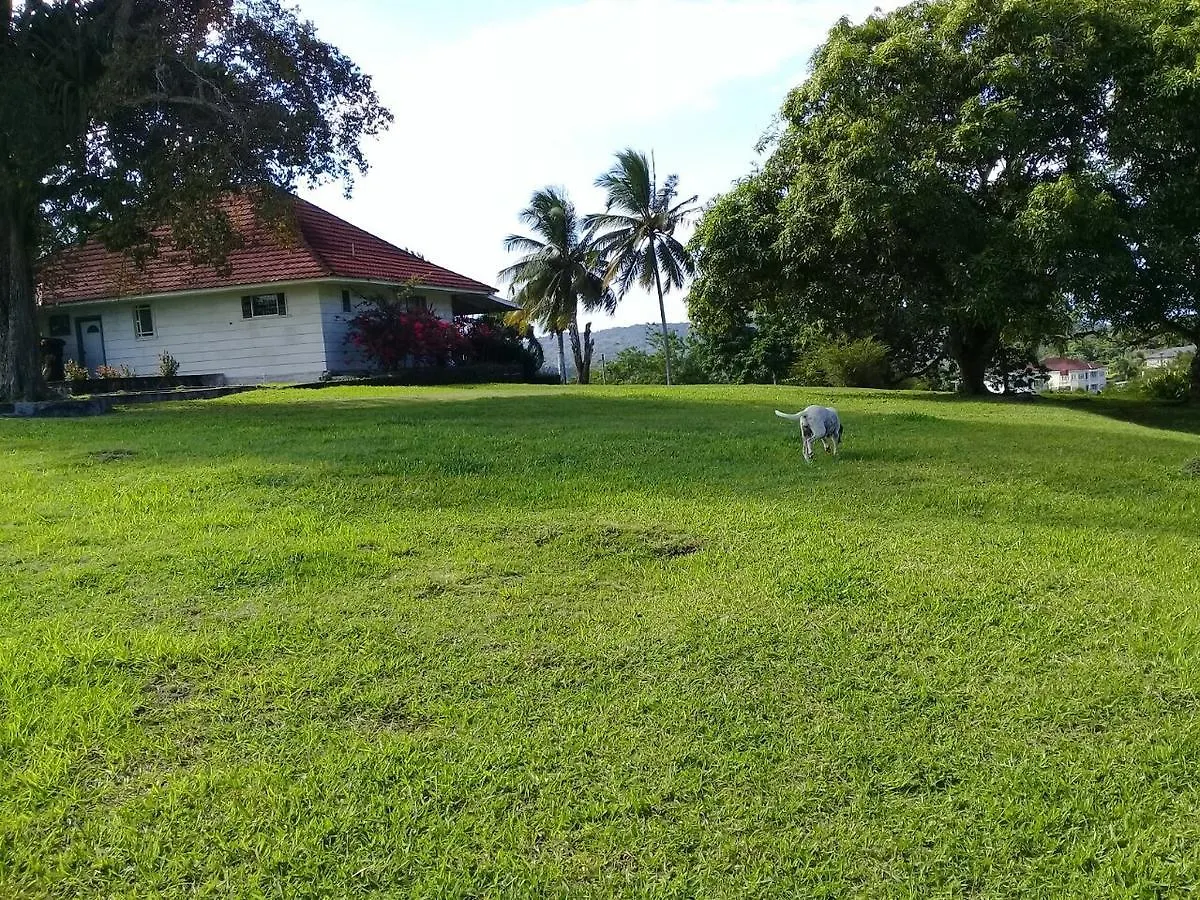 Guest house Cartref Creative Cribs Hotel Port Maria Jamaica